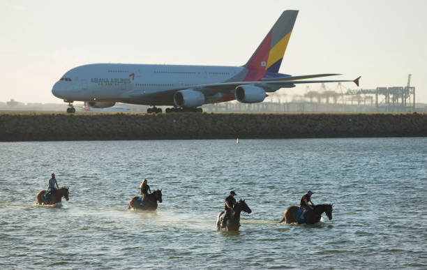 游泳爱好者必读：仰泳对肌肉发展的五大益处