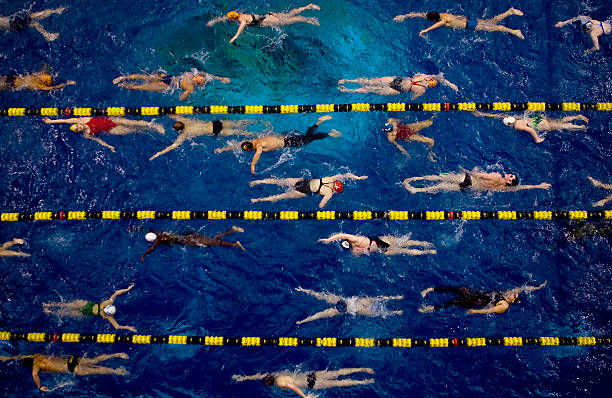 竞技与友谊：高中游泳比赛的收获与体会