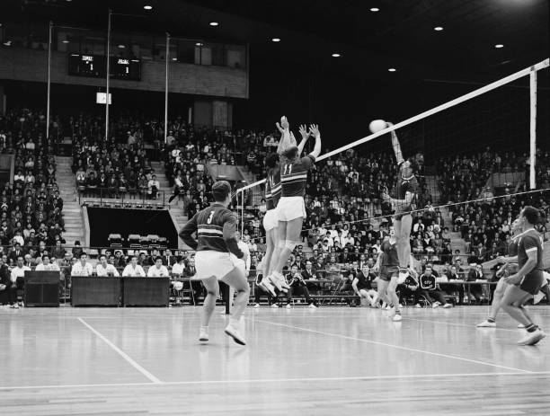 惠若琪退役后的转型：从运动员到体育评论员